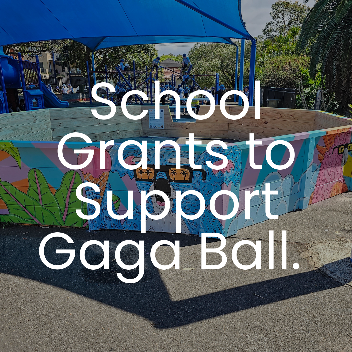 How School Grants Can Support Your Gaga Pit Installation
